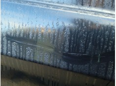 Recambio de puerta trasera derecha para bmw 3 (e90) 320 d referencia OEM IAM 41007203648   2