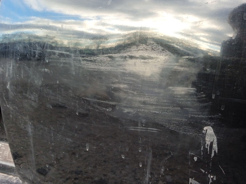 Recambio de puerta trasera izquierda para bmw 3 (e90) 320 d referencia OEM IAM 41007203647  