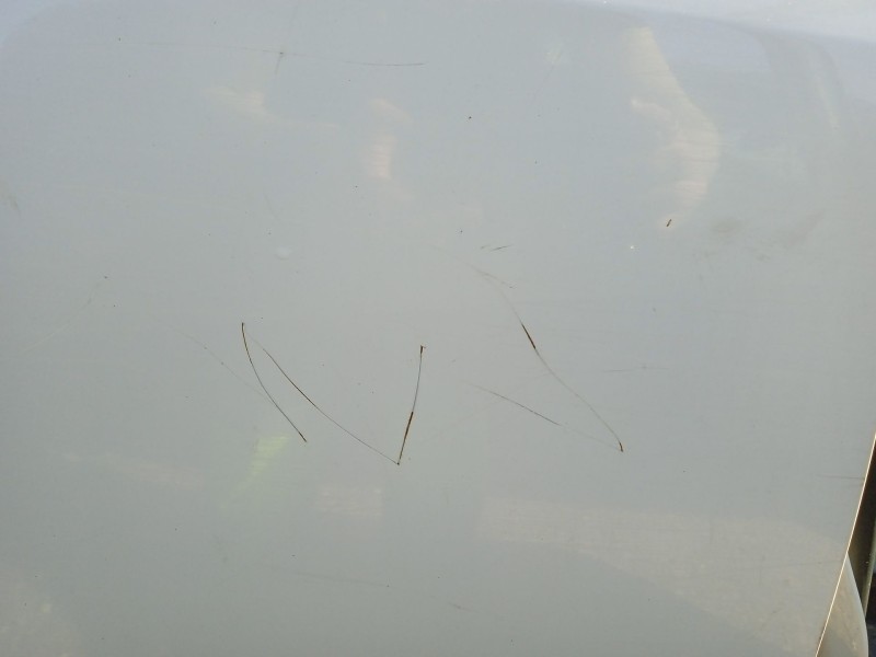 Recambio de puerta trasera derecha para vw golf v (1k1) 1.9 tdi referencia OEM IAM 5M0833106B  