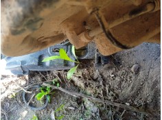 Recambio de sensor abs trasero izquierdo para citroën xsara picasso (n68) 1.6 referencia OEM IAM   