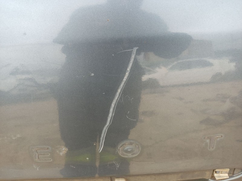 Recambio de porton trasero para peugeot 807 (eb_) 2.0 hdi referencia OEM IAM 8701X2  