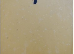 Recambio de capot delantero para ford transit connect (p65_, p70_, p80_) 1.8 tdci referencia OEM IAM 1448864   2