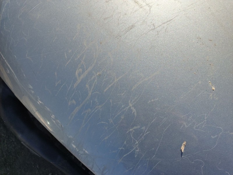 Recambio de capot delantero para ford mondeo iii (b5y) 2.0 tdci referencia OEM IAM 1118533  