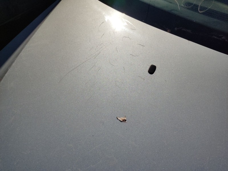 Recambio de capot delantero para ford mondeo iii (b5y) 2.0 tdci referencia OEM IAM 1118533  