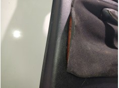 Recambio de guarnecido puerta trasera derecha para volkswagen passat b5.5 (3b3) 1.9 tdi 4motion referencia OEM IAM    2