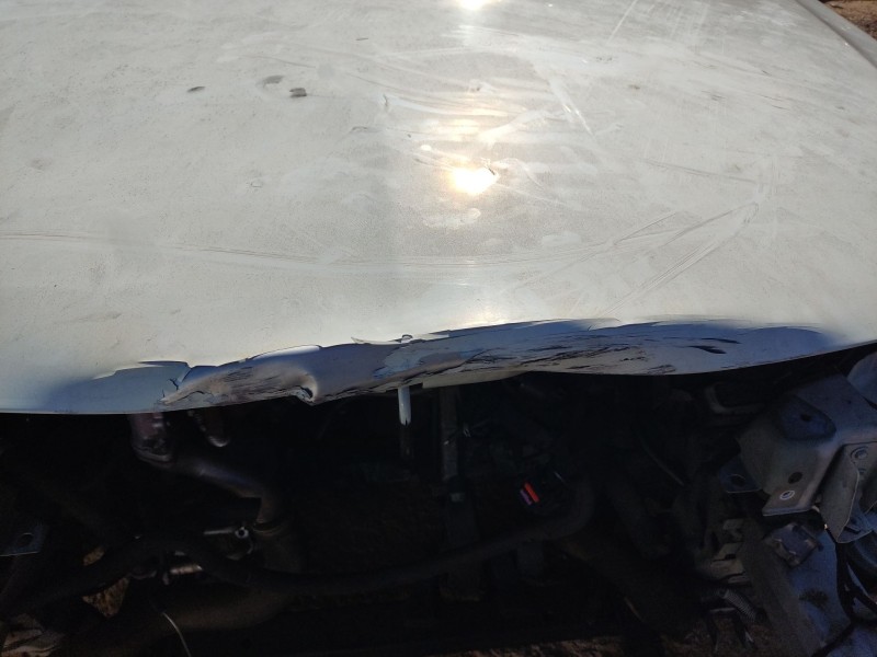 Recambio de capot para opel insignia a (g09) 2.0 cdti (68) referencia OEM IAM 1160013  