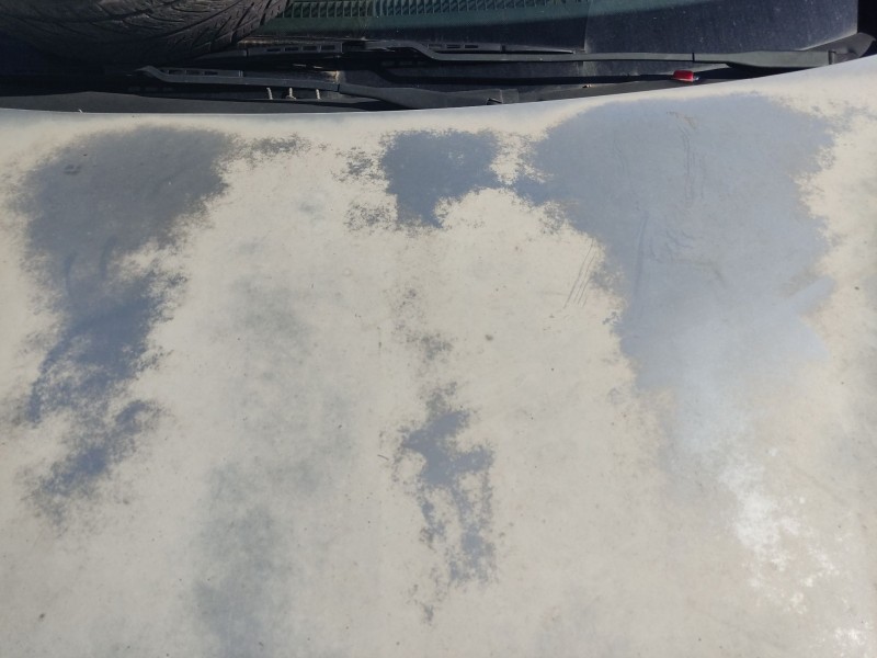 Recambio de capot delantero para opel corsa c (x01) 1.3 cdti (f08, f68) referencia OEM IAM 9196450  