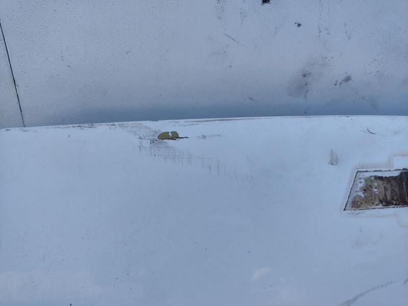 Recambio de capot para chevrolet matiz referencia OEM IAM 96602004  