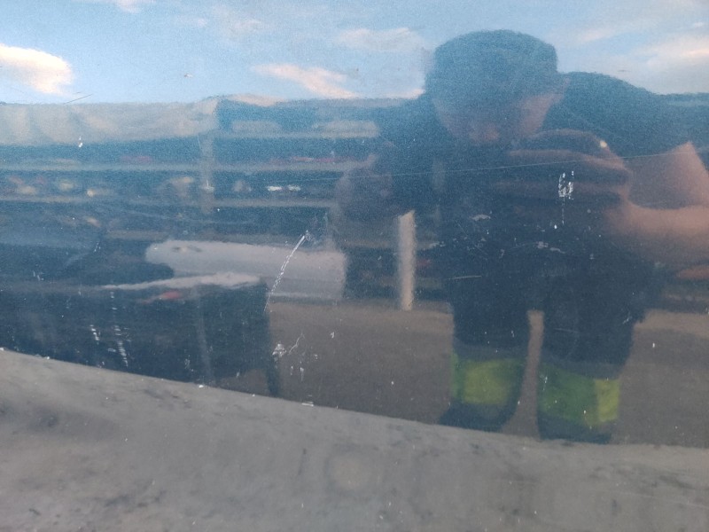 Recambio de puerta trasera izquierda para seat altea (5p1) 1.9 tdi referencia OEM IAM 5P0833055 5P0833055A 