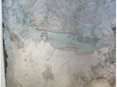 Recambio de capot para hyundai matrix (fc) 1.6 cat referencia OEM IAM 6640017020   2