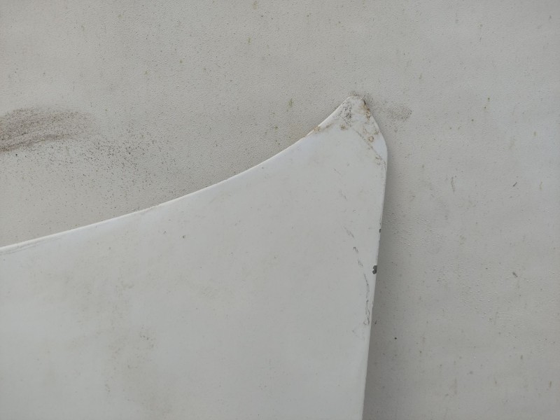 Recambio de capot para renault trafic combi (ab 4.01) 1.9 diesel referencia OEM IAM 651005147R  