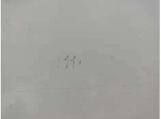 Recambio de puerta delantera izquierda para renault master desde ´98 2.2 diesel referencia OEM IAM 7751474636 7711172516  2