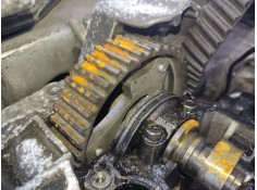 Recambio de polea arbol levas para renault megane ii (bm0/1_, cm0/1_) 1.5 dci (bm1e, cm1e) referencia OEM IAM 7701478037  