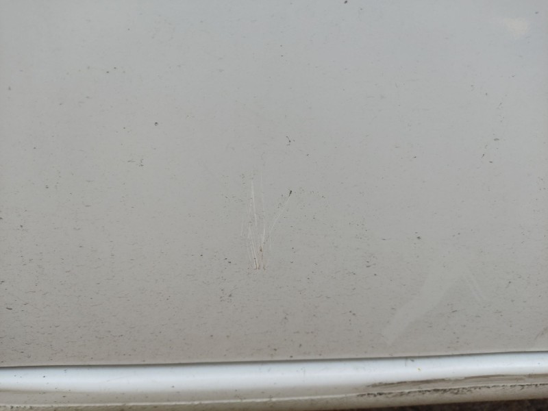 Recambio de puerta delantera derecha para seat ibiza iii (6l1) 1.4 tdi referencia OEM IAM 6L4831056S  