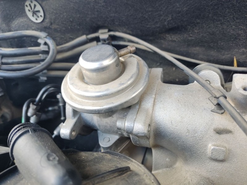 Recambio de valvula egr para seat ibiza iii (6l1) 1.4 tdi referencia OEM IAM 045129637A  