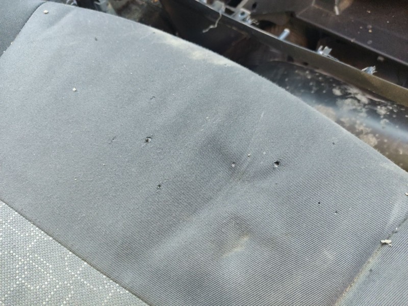 Recambio de asiento delantero derecho para seat ibiza iii (6l1) 1.9 tdi referencia OEM IAM 6038ADD  