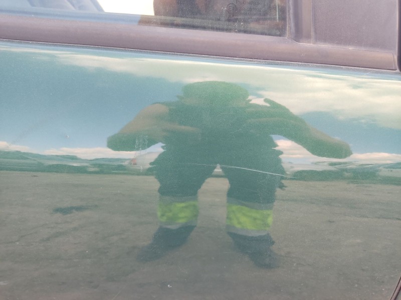 Recambio de puerta trasera derecha para seat toledo ii (1m2) 1.6 16v referencia OEM IAM 1M0833056N  