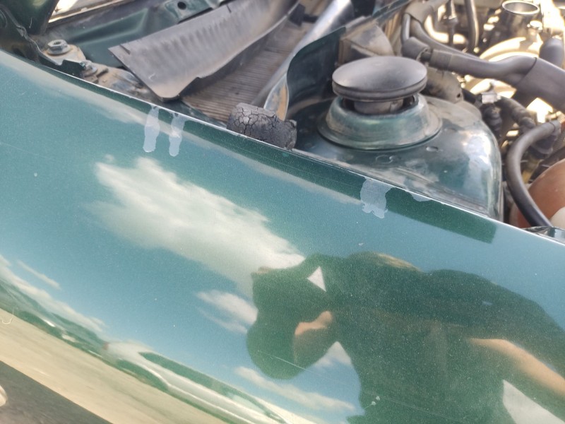 Recambio de aleta delantera derecha para seat toledo ii (1m2) 1.6 16v referencia OEM IAM 1M0821022  