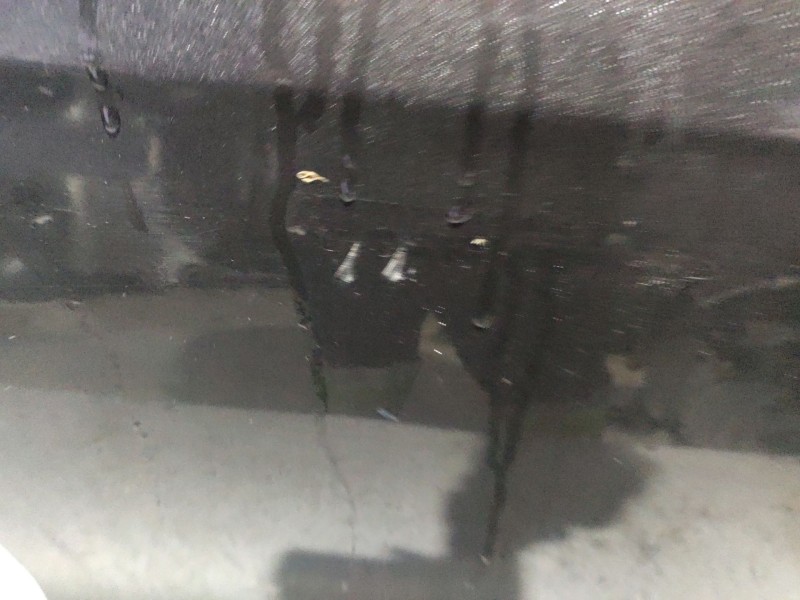 Recambio de puerta trasera izquierda para volkswagen passat berlina (3c2) highline referencia OEM IAM 3C5833055H  