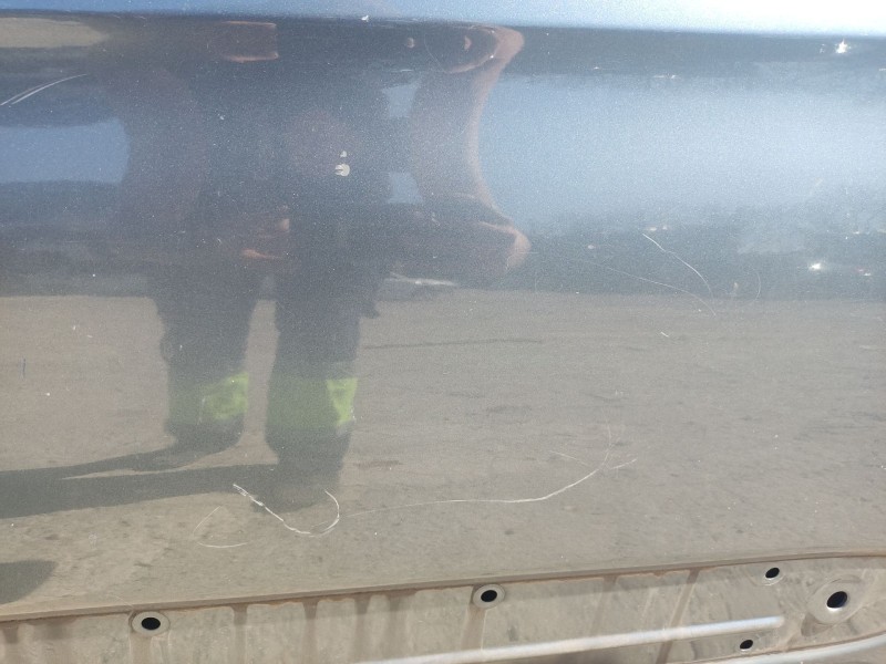 Recambio de puerta trasera izquierda para citroën xsara picasso (n68) 1.6 hdi referencia OEM IAM 900691  