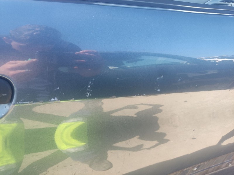 Recambio de puerta delantera derecha para citroën xsara picasso (n68) 1.6 hdi referencia OEM IAM 9004L5  