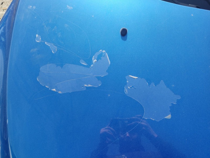 Recambio de capot delantero para peugeot 307 break (3e) 2.0 hdi 90 referencia OEM IAM 7901J0  