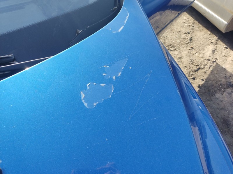 Recambio de capot delantero para peugeot 307 break (3e) 2.0 hdi 90 referencia OEM IAM 7901J0  