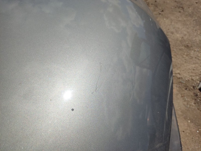 Recambio de capot para volkswagen passat b5.5 variant (3b6) 1.9 tdi referencia OEM IAM 3B0823031K  