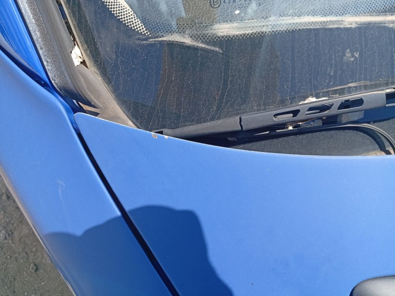 Recambio de capot delantero para peugeot 206 hatchback (2a/c) 1.4 i referencia OEM IAM 7901K1  