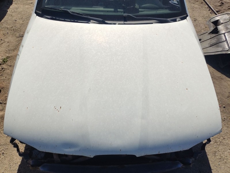 Recambio de capot delantero para seat ibiza ii (6k1) 1.9 tdi referencia OEM IAM 6K0823031B  