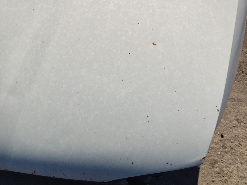 Recambio de capot delantero para seat ibiza ii (6k1) 1.9 tdi referencia OEM IAM 6K0823031B  