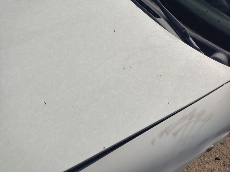 Recambio de capot delantero para seat ibiza ii (6k1) 1.9 tdi referencia OEM IAM 6K0823031B  