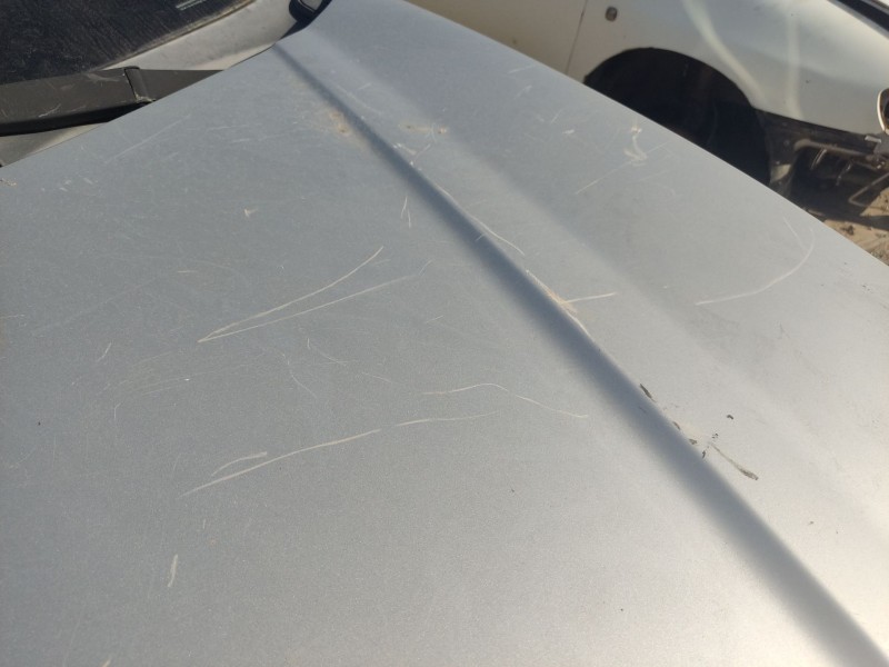 Recambio de capot delantero para hyundai tucson (jm) 2.0 referencia OEM IAM 664002E020  