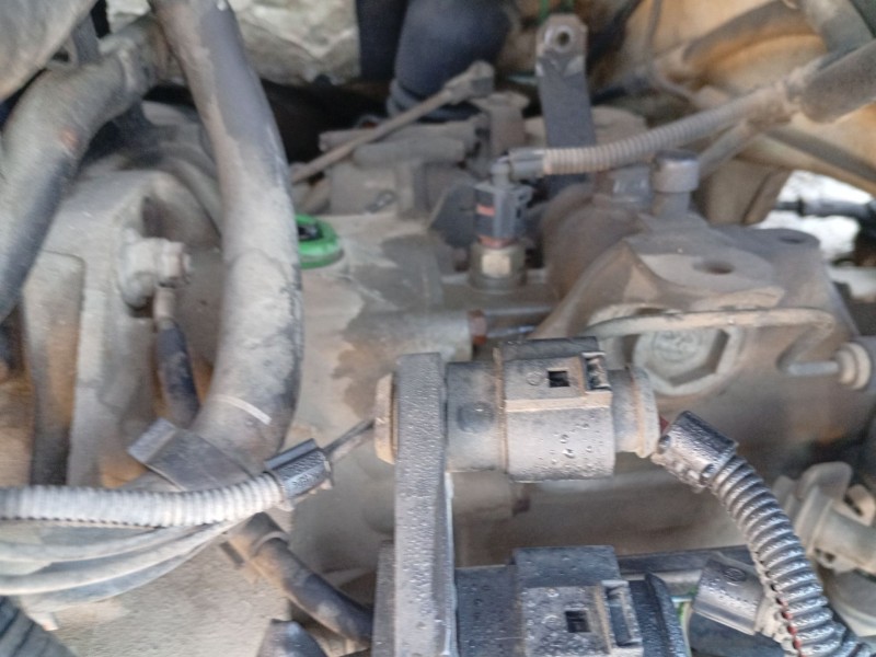 Recambio de caja cambios para seat ibiza ii (6k1) 1.9 sdi referencia OEM IAM   