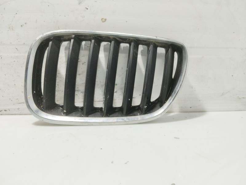 Recambio de rejilla delantera para bmw x5 (e53) 3.0 d referencia OEM IAM 51137124815  
