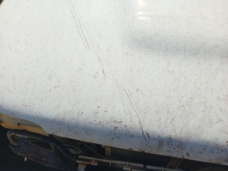 Recambio de capot delantero para nissan terrano ii (r20) 2.7 td 4wd referencia OEM IAM 651000F030  