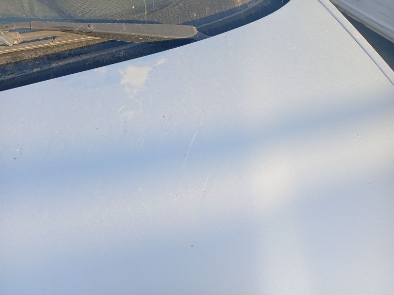 Recambio de capot para alfa romeo 146 (930_) 1.9 td (930.b4a) referencia OEM IAM 60574491  