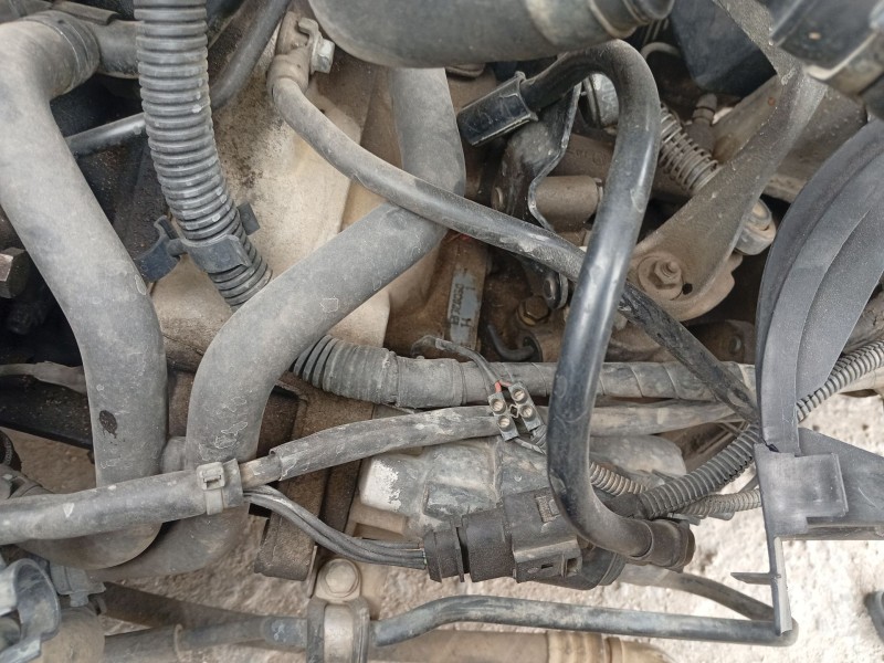 Recambio de caja cambios para volkswagen golf iv (1j1) 1.9 tdi 4motion referencia OEM IAM EBJ  