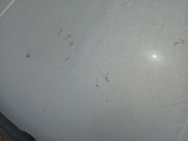 Recambio de capot para volkswagen golf iv (1j1) 1.9 tdi 4motion referencia OEM IAM 1J0823031B  