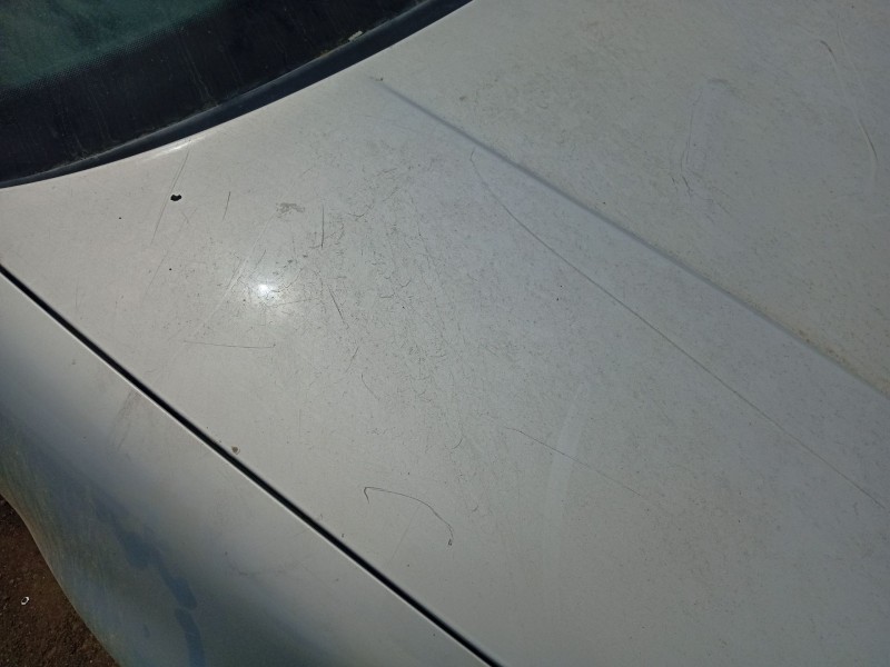 Recambio de capot para volkswagen golf iv (1j1) 1.9 tdi 4motion referencia OEM IAM 1J0823031B  