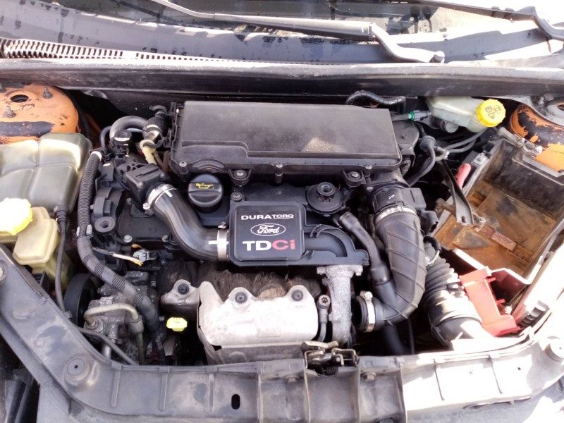 ford fiesta (cbk) 1.4 tdci cat   |   0.01 - ... | 2001 | 68 cv / 50 kw del año 2001