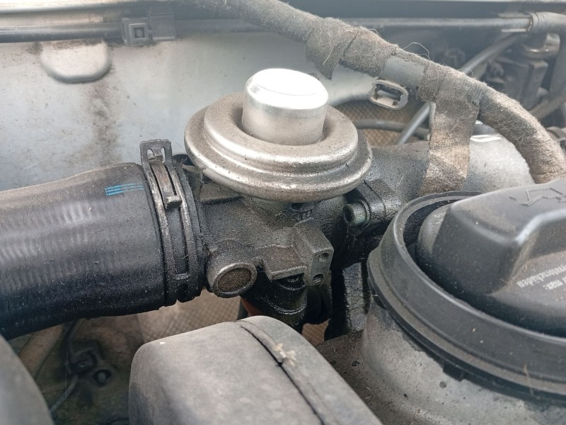 Recambio de valvula egr para volkswagen golf iv (1j1) 1.9 tdi 4motion referencia OEM IAM 038131501E  