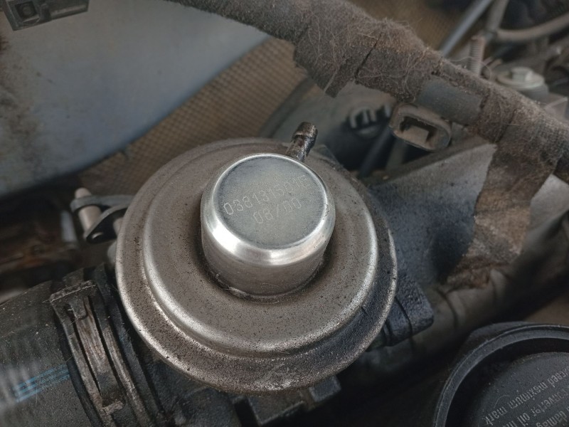 Recambio de valvula egr para volkswagen golf iv (1j1) 1.9 tdi 4motion referencia OEM IAM 038131501E  