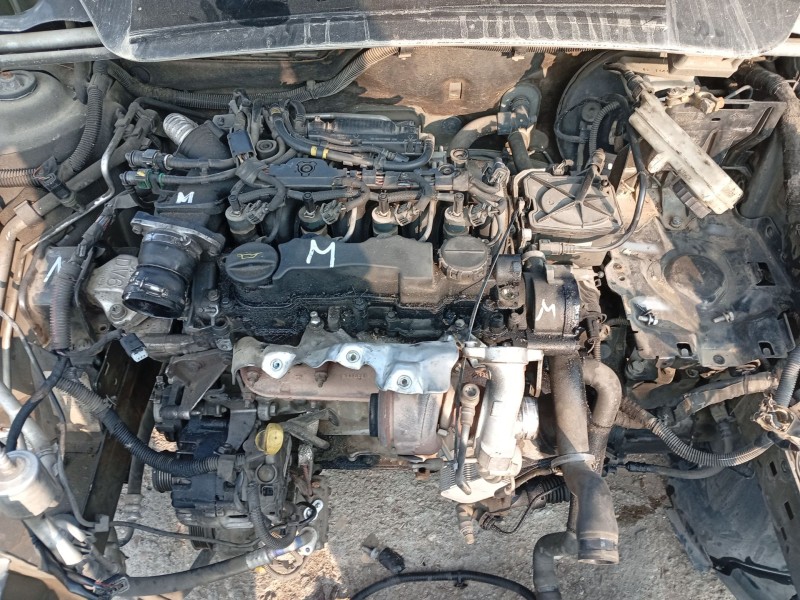 Recambio de bomba aceite para peugeot 307 sw (3h) 1.6 hdi 90 referencia OEM IAM 1001F2  
