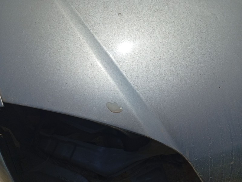 Recambio de capot delantero para opel vectra c (z02) 1.9 cdti (f69) referencia OEM IAM 93184795  