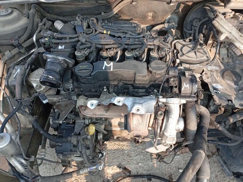 Recambio de culatin para peugeot 307 sw (3h) 1.6 hdi 90 referencia OEM IAM 0200EH 0200JJ 