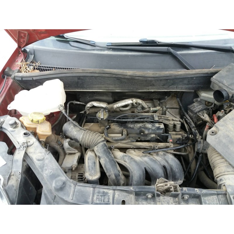 ford fusion (cbk) 1.4 16v cat   |   0.02 - ... | 2002 | 80 cv / 59 kw del año 2002