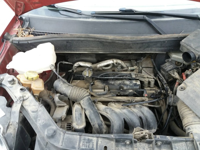 ford fusion (cbk) 1.4 16v cat   |   0.02 - ... | 2002 | 80 cv / 59 kw del año 2002