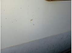 Recambio de puerta trasera izquierda para tata safari (42_fd) 2.0 d 4x4 referencia OEM IAM 00858PTI   2