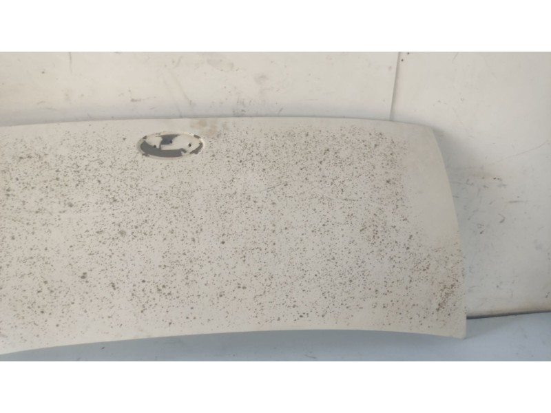 Recambio de capot para peugeot boxer furgoneta (244) 2.8 hdi referencia OEM IAM 7901K0  